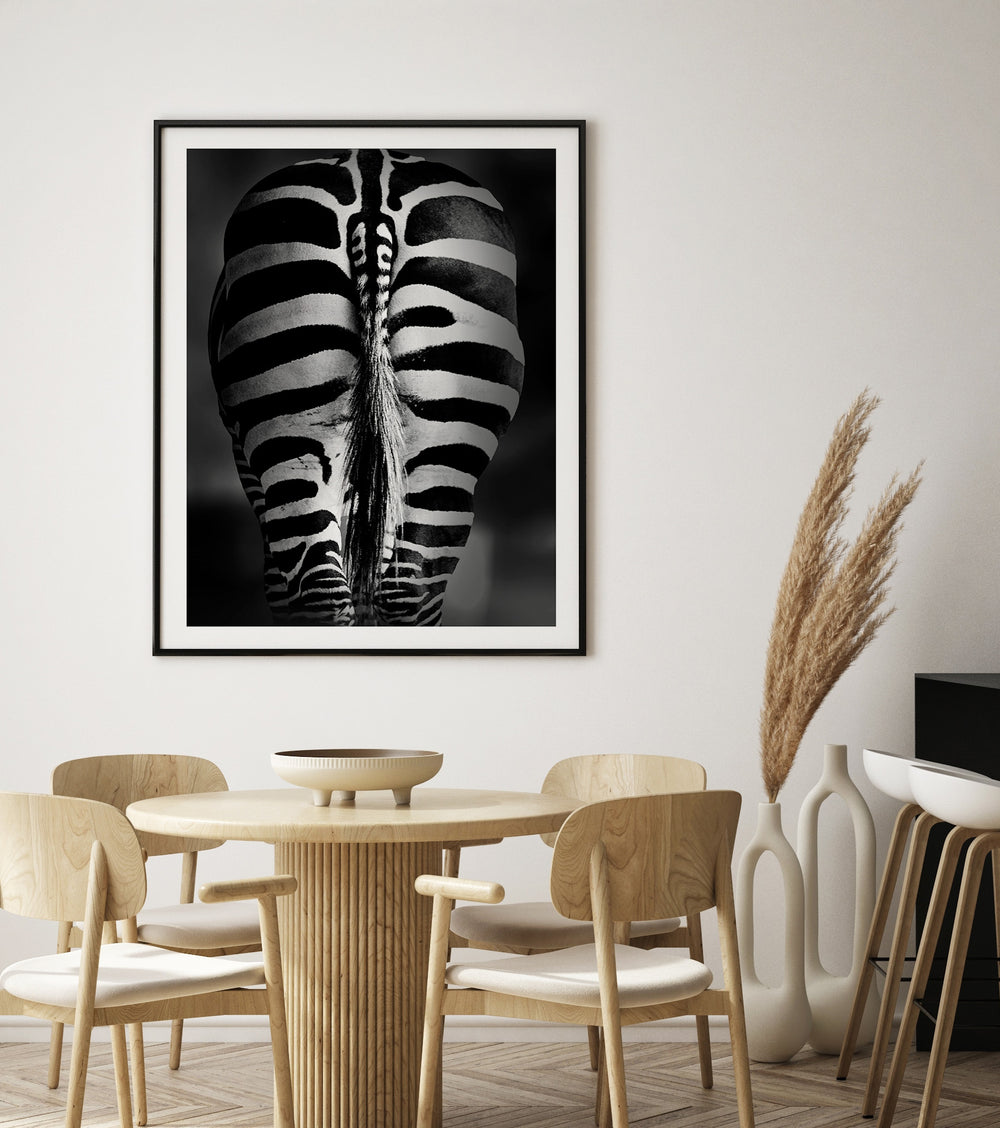 Plakat Zebra - czarno-biała